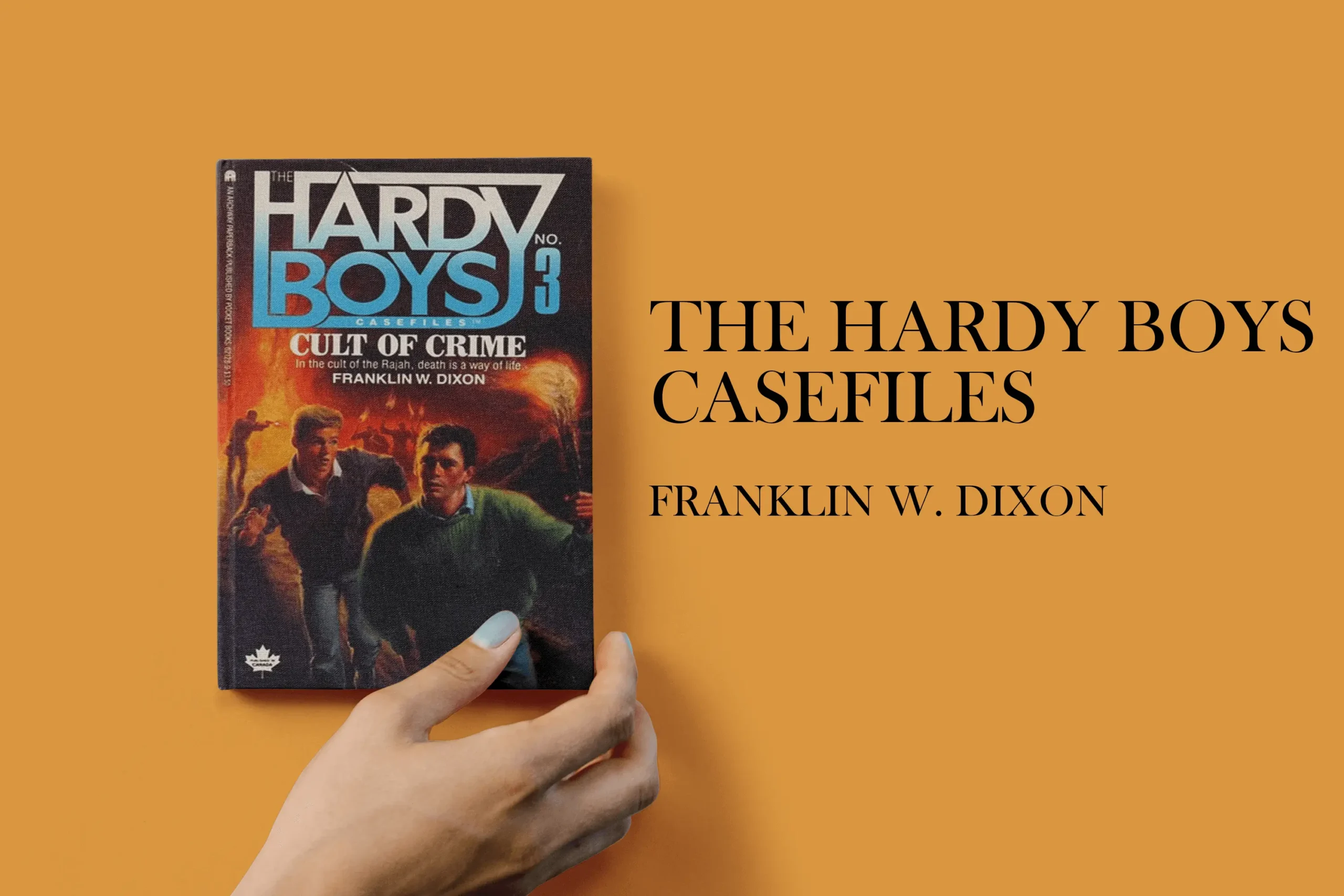 The Hardy Boys Casefiles